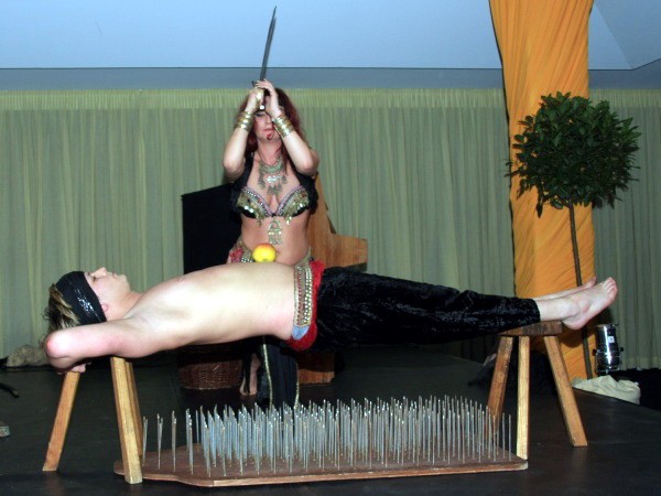 Opernball 2009   062.jpg
